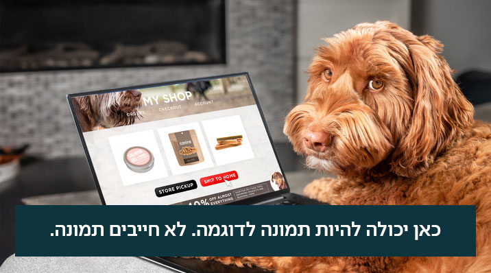 תמונה לדוגמה